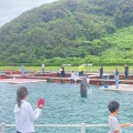 実際訪問したユーザーが直接撮影して投稿した勝本町東触水族館 / アクアリウム壱岐イルカパーク&リゾートの写真