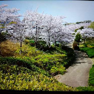 実際訪問したユーザーが直接撮影して投稿した三吉公園竹取公園の写真