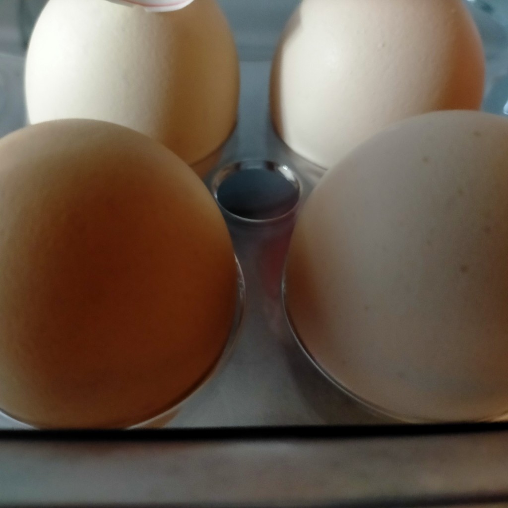ユーザーが投稿した武蔵の国の赤卵の写真 - 実際訪問したユーザーが直接撮影して投稿した荒川その他飲食店ハナゾノショッピングセンター 食品館 ハーズの写真