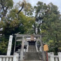 実際訪問したユーザーが直接撮影して投稿した上宿町神社湯前神社の写真