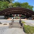 実際訪問したユーザーが直接撮影して投稿したしらさぎ神社白鷺神社の写真