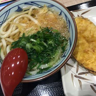 実際訪問したユーザーが直接撮影して投稿した杜せきのしたうどん丸亀製麺 イオンモール名取店の写真