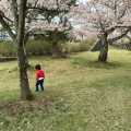 実際訪問したユーザーが直接撮影して投稿した馬場町公園鶴岡公園の写真