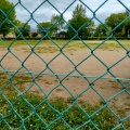 実際訪問したユーザーが直接撮影して投稿した桑野公園大島中央公園の写真