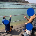 実際訪問したユーザーが直接撮影して投稿した河川保田ケ池の写真