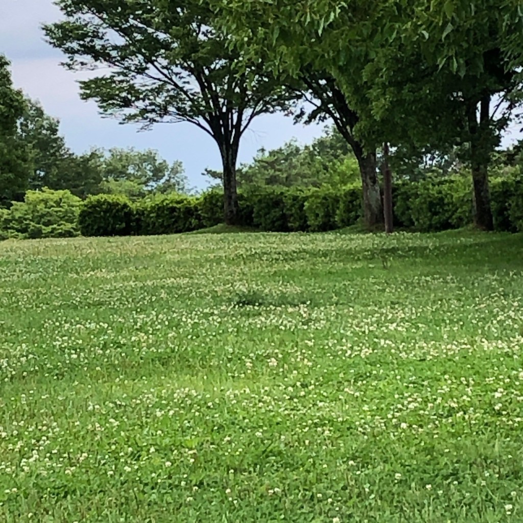 実際訪問したユーザーが直接撮影して投稿した富岡公園ひばりヶ丘公園の写真