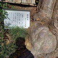 実際訪問したユーザーが直接撮影して投稿した神場神社神場山神社の写真