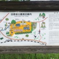 実際訪問したユーザーが直接撮影して投稿した植木町豊岡公園田原坂公園の写真