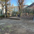 実際訪問したユーザーが直接撮影して投稿した桜丘公園世田谷区立桜丘南公園の写真