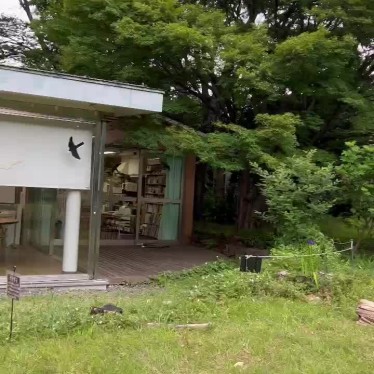 実際訪問したユーザーが直接撮影して投稿した桜丘公園桜丘すみれば自然庭園の写真