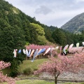 実際訪問したユーザーが直接撮影して投稿した南濃町羽沢公園羽根谷だんだん公園の写真