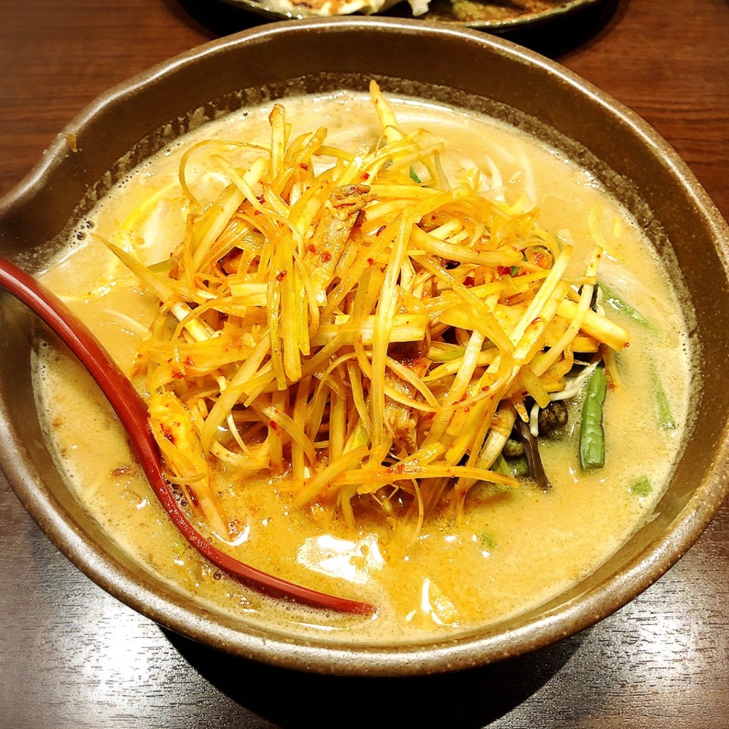 ユーザーが投稿した信州肉ネギラーメンの写真 - 実際訪問したユーザーが直接撮影して投稿した安積北井ラーメン専門店麺場 田所商店 麺場 郡山南店の写真