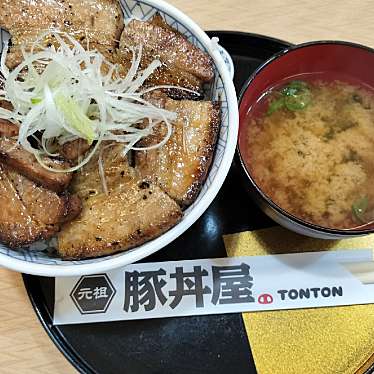 実際訪問したユーザーが直接撮影して投稿した豊平四条丼もの元祖豚丼屋TONTON  札幌豊平店の写真