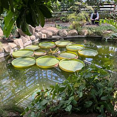 神代植物公園 水生植物園のundefinedに実際訪問訪問したユーザーunknownさんが新しく投稿した新着口コミの写真