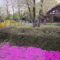 実際訪問したユーザーが直接撮影して投稿した国府町公園四季の森公園の写真