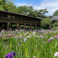 実際訪問したユーザーが直接撮影して投稿した平賀寺本土寺の写真