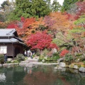 実際訪問したユーザーが直接撮影して投稿した百済寺町寺百済寺の写真