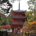 実際訪問したユーザーが直接撮影して投稿した井尻野寺宝福寺の写真