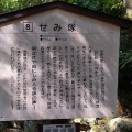 実際訪問したユーザーが直接撮影して投稿した山寺寺宝珠山 立石寺の写真