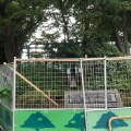 実際訪問したユーザーが直接撮影して投稿した白鷺公園鷺宮運動広場の写真