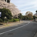 実際訪問したユーザーが直接撮影して投稿した鬼高科学館千葉県立現代産業科学館の写真