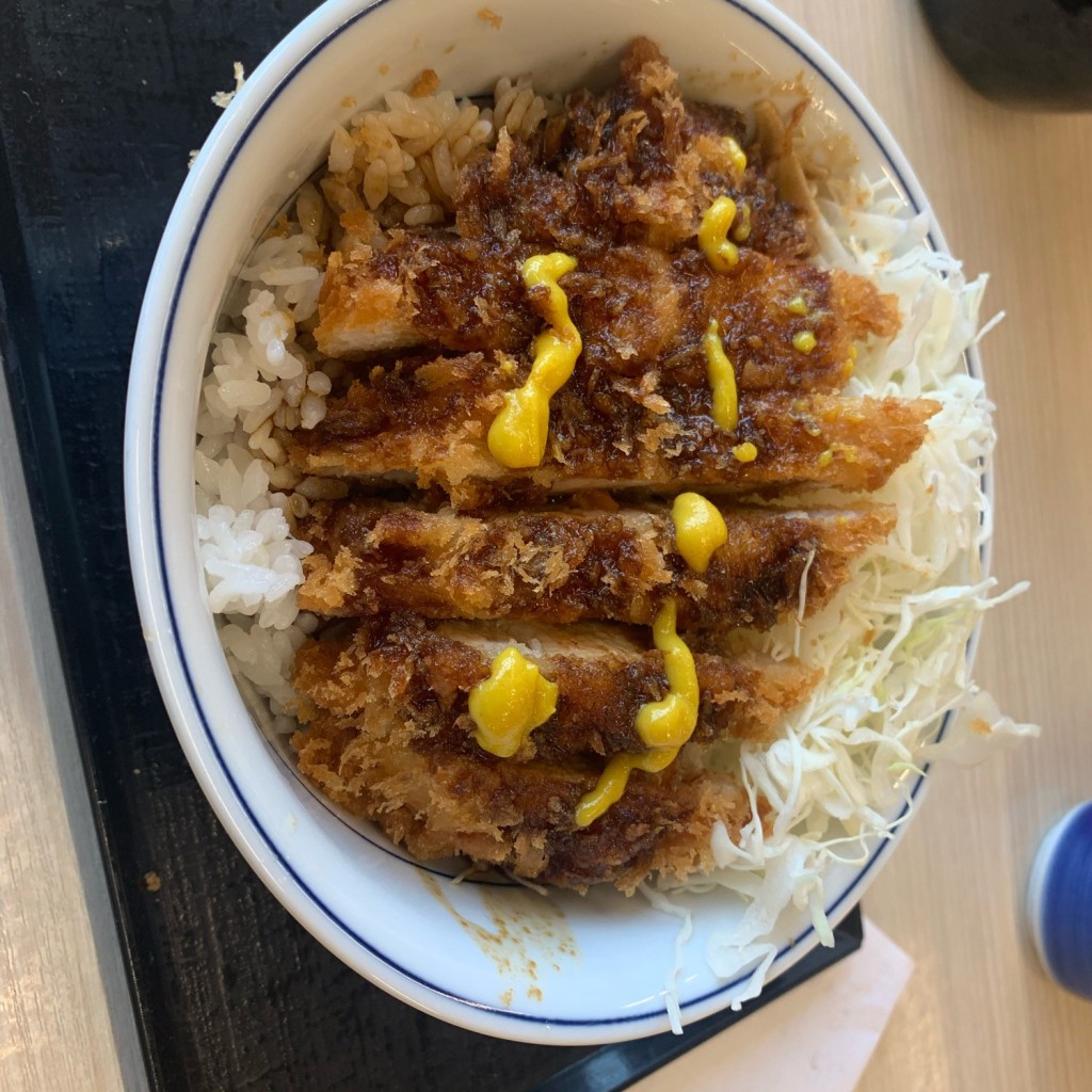 ユーザーが投稿したソースカツ丼(梅)の写真 - 実際訪問したユーザーが直接撮影して投稿した小牧原新田とんかつかつや 愛知小牧原店の写真