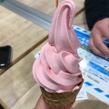 実際訪問したユーザーが直接撮影して投稿した黒袴町軽食 / ホットスナック佐野サービスエリア 上り レストランの写真