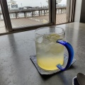 レモンスカッシュ - 実際訪問したユーザーが直接撮影して投稿した海岸通カフェcafe&shop kaguyaの写真のメニュー情報