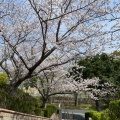 実際訪問したユーザーが直接撮影して投稿した久原公園宗像ユリックスの写真