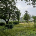 実際訪問したユーザーが直接撮影して投稿した大淀南公園浦江公園の写真