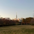 実際訪問したユーザーが直接撮影して投稿した毛利公園猿江恩賜公園の写真