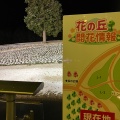 実際訪問したユーザーが直接撮影して投稿した鶴田自然名所花の丘の写真
