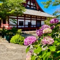 実際訪問したユーザーが直接撮影して投稿した矢田町寺矢田寺の写真