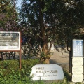 実際訪問したユーザーが直接撮影して投稿した若宮公園若宮オリーブ公園の写真