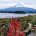 実際訪問したユーザーが直接撮影して投稿した大石花のきれいなスポット大石公園の写真