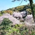 実際訪問したユーザーが直接撮影して投稿した西公園神社光雲神社の写真