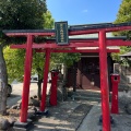 実際訪問したユーザーが直接撮影して投稿した大森東神社鷺之森神社の写真