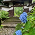 実際訪問したユーザーが直接撮影して投稿した北山寺資福寺の写真