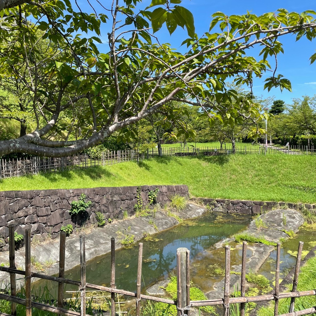 ツキノワグマの葵さんが投稿した掛川城 / 城跡のお店掛川城公園/カケガワジョウコウエンの写真