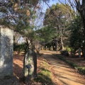 実際訪問したユーザーが直接撮影して投稿した石神井町公園池淵史跡公園の写真