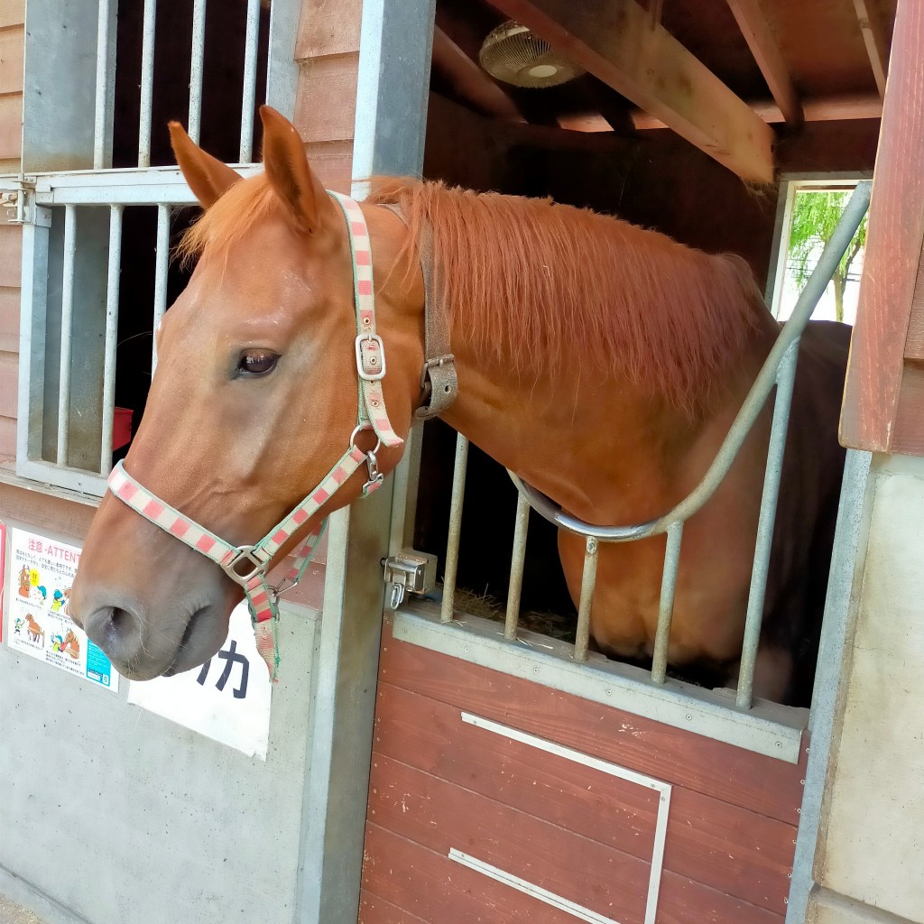 実際訪問したユーザーが直接撮影して投稿した西十三条南動物園ふれあい動物園の写真