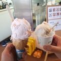 実際訪問したユーザーが直接撮影して投稿した橋本アイスクリームジェラテリア・レガーロの写真