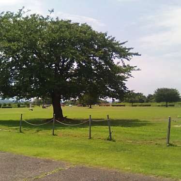 実際訪問したユーザーが直接撮影して投稿した小須戸公園雁巻緑地公園の写真