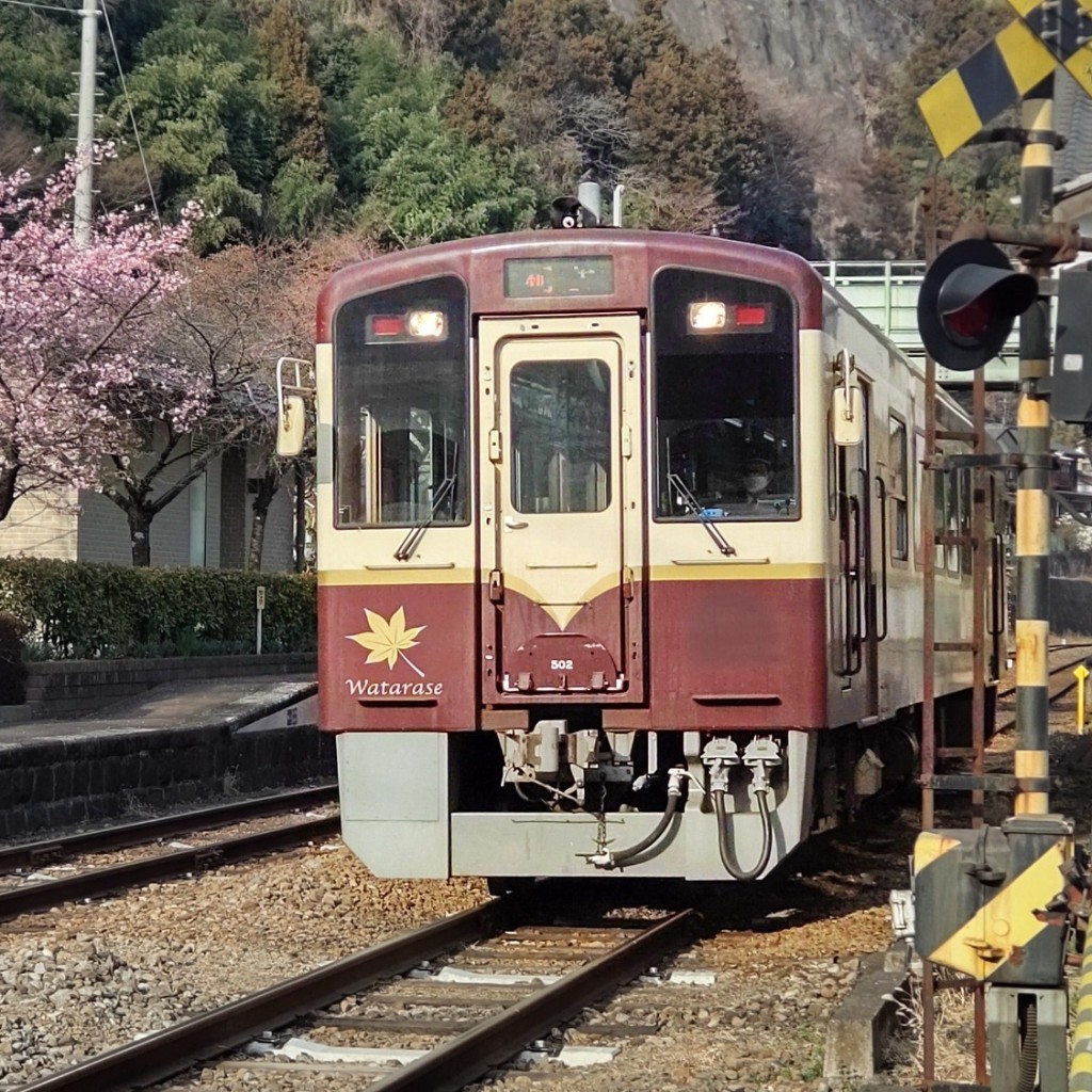 実際訪問したユーザーが直接撮影して投稿した黒保根町水沼駅（代表）水沼駅 (わたらせ渓谷鐵道)の写真