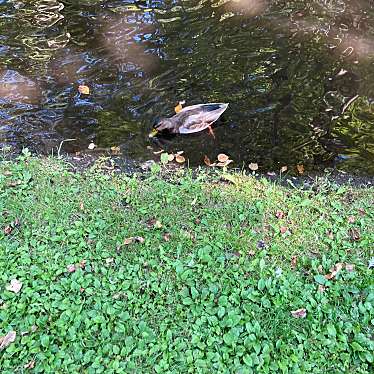 実際訪問したユーザーが直接撮影して投稿した千住公園スマイルパークの写真