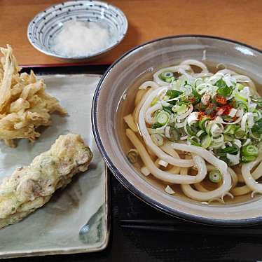 実際訪問したユーザーが直接撮影して投稿した飯豊うどん浅月の写真