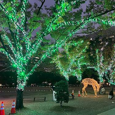 実際訪問したユーザーが直接撮影して投稿した天神公園福岡県営 天神中央公園の写真