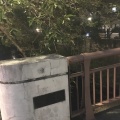 実際訪問したユーザーが直接撮影して投稿した上目黒橋目黒川 桜橋の写真