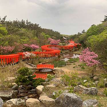 実際訪問したユーザーが直接撮影して投稿した牛潟町神社高山稲荷神社の写真