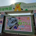 実際訪問したユーザーが直接撮影して投稿した東山元町動物園東山動植物園の写真